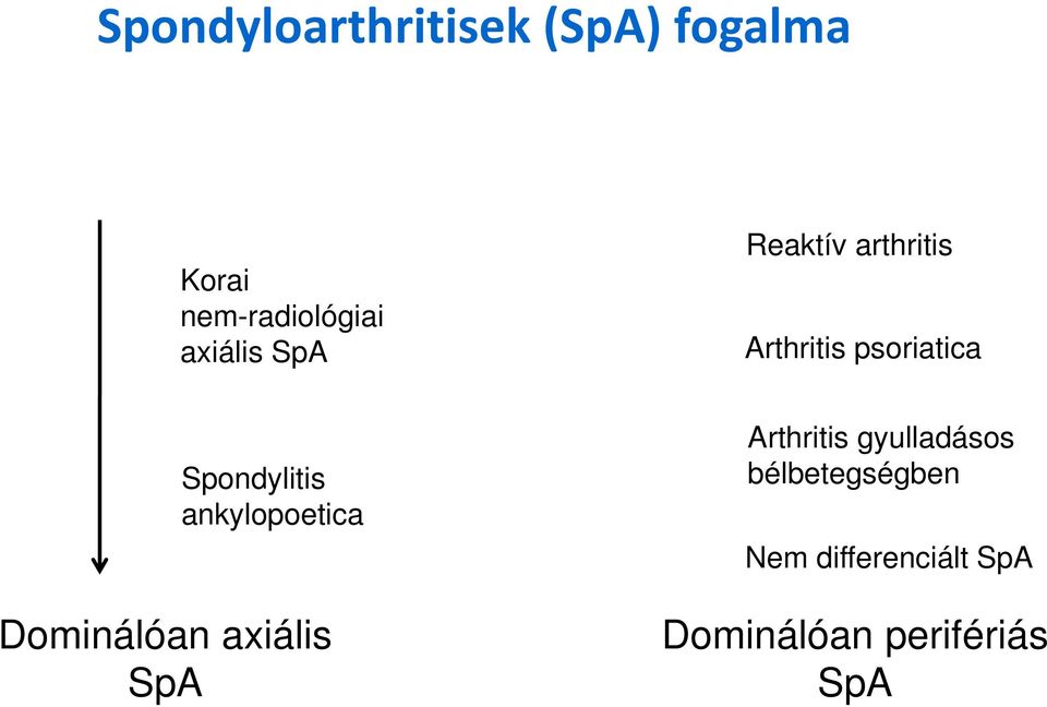 Spondylitis ankylopoetica Dominálóan axiális SpA Arthritis