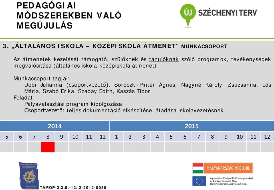 tevékenységek megvalósítása (általános iskola-középiskola átmenet) Munkacsoport tagjai: Dobi Julianna (csoportvezető),