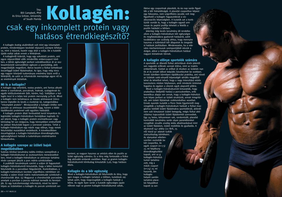 A kollagénrôl kiderült, hogy egy sokoldalú protein, ami egyre népszerûbbé válik mindenféle embercsoport körében, a bôrük egészségét javítani szándékozókon át az oszteoartrózistól szenvedôkön egészen