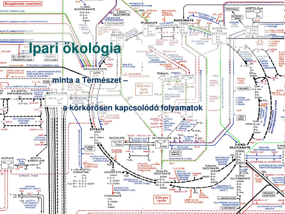 Természet a