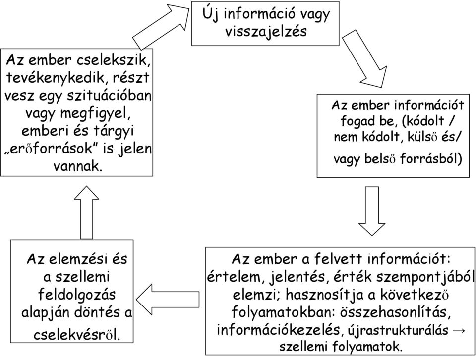 Az ember információt fogad be, (kódolt / nem kódolt, külső és/ vagy belső forrásból) Az elemzési és a szellemi feldolgozás