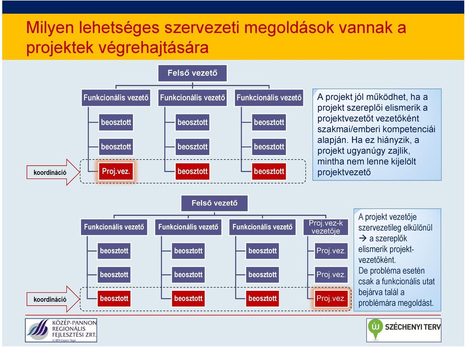 tő koordináció Proj.vez.