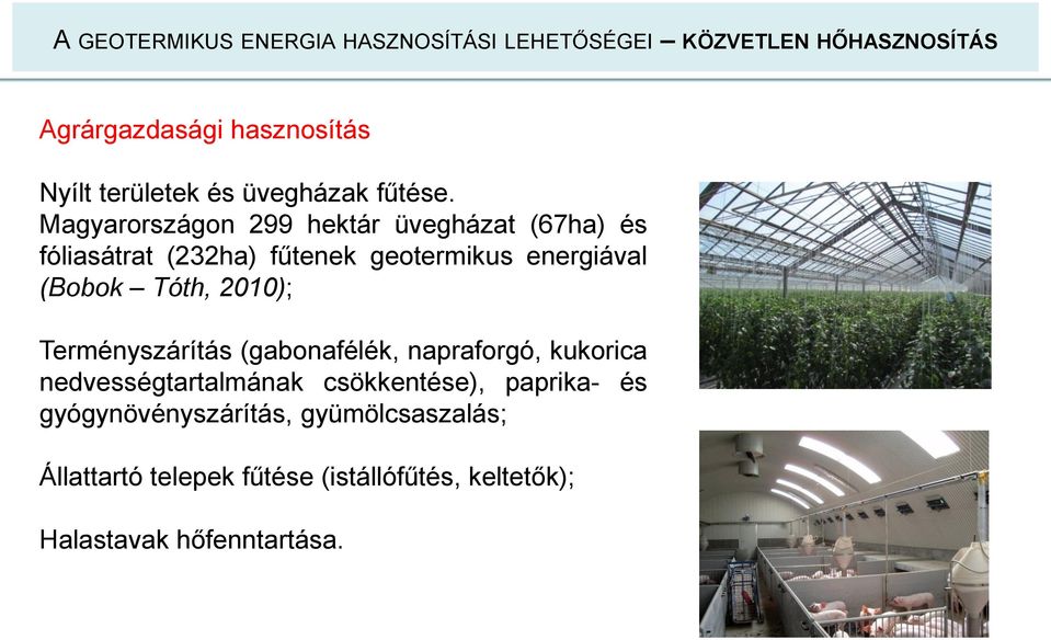 Magyarországon 299 hektár üvegházat (67ha) és fóliasátrat (232ha) fűtenek geotermikus energiával (Bobok Tóth, 2010);