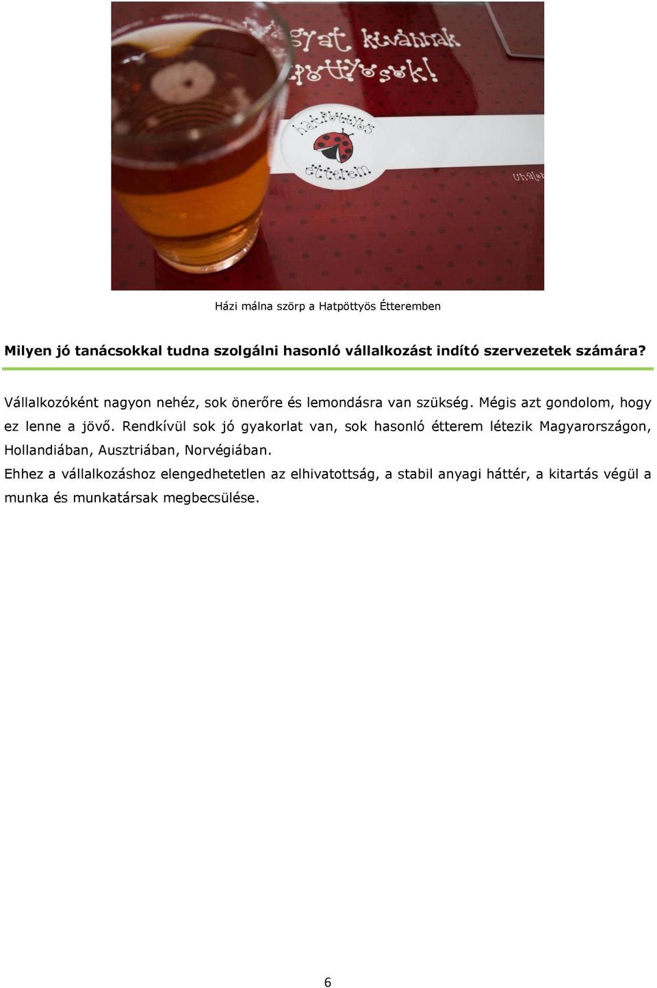 Rendkívül sok jó gyakorlat van, sok hasonló étterem létezik Magyarországon, Hollandiában, Ausztriában, Norvégiában.
