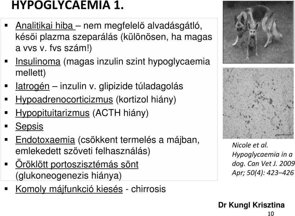 glipizide túladagolás Hypoadrenocorticizmus (kortizol hiány) Hypopituitarizmus (ACTH hiány) Sepsis Endotoxaemia (csökkent termelés a