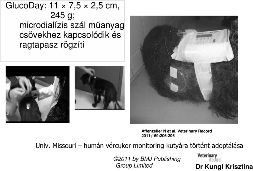 Veterinary Record 2011;169:206-206 Univ.