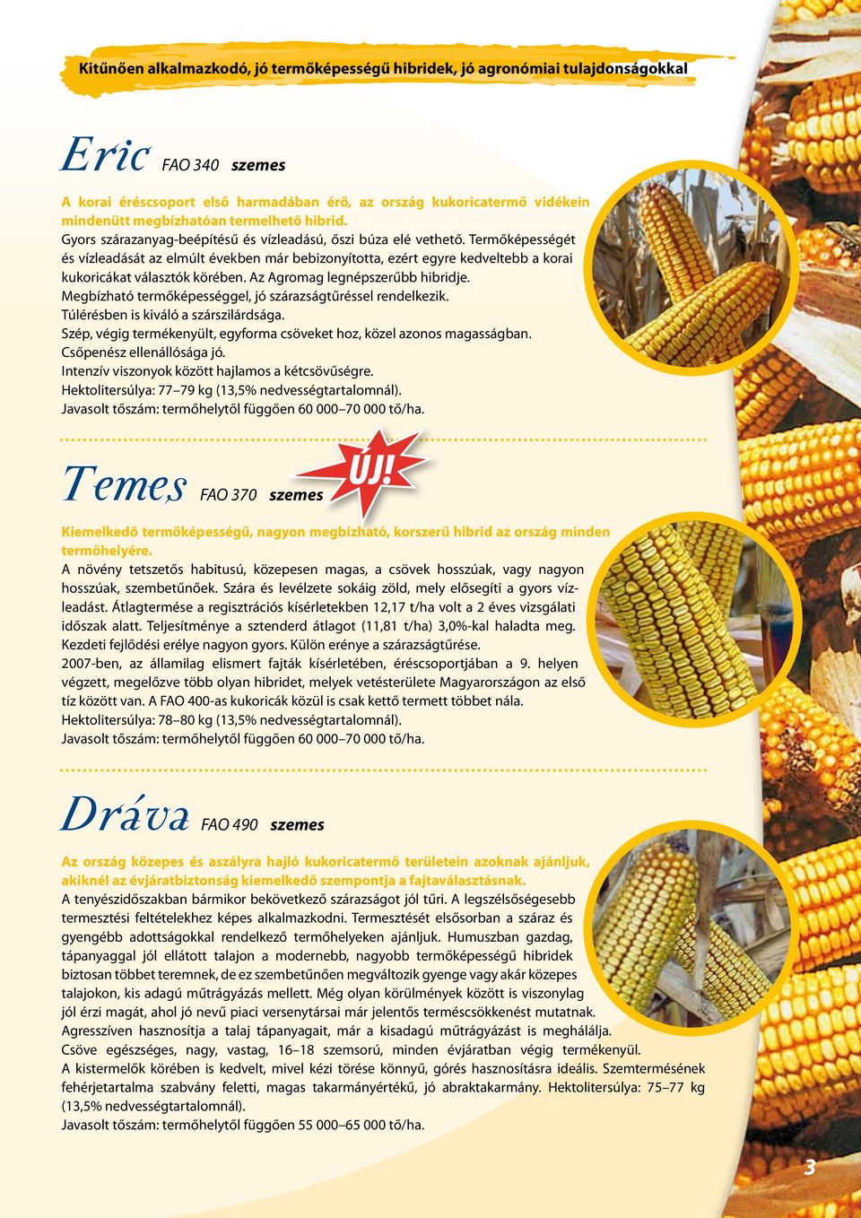Termőképességét és vízleadását az elmúlt években már bebizonyította, ezért egyre kedveltebb a korai kukoricákat választók körében. Az Agromag legnépszerűbb hibridje.