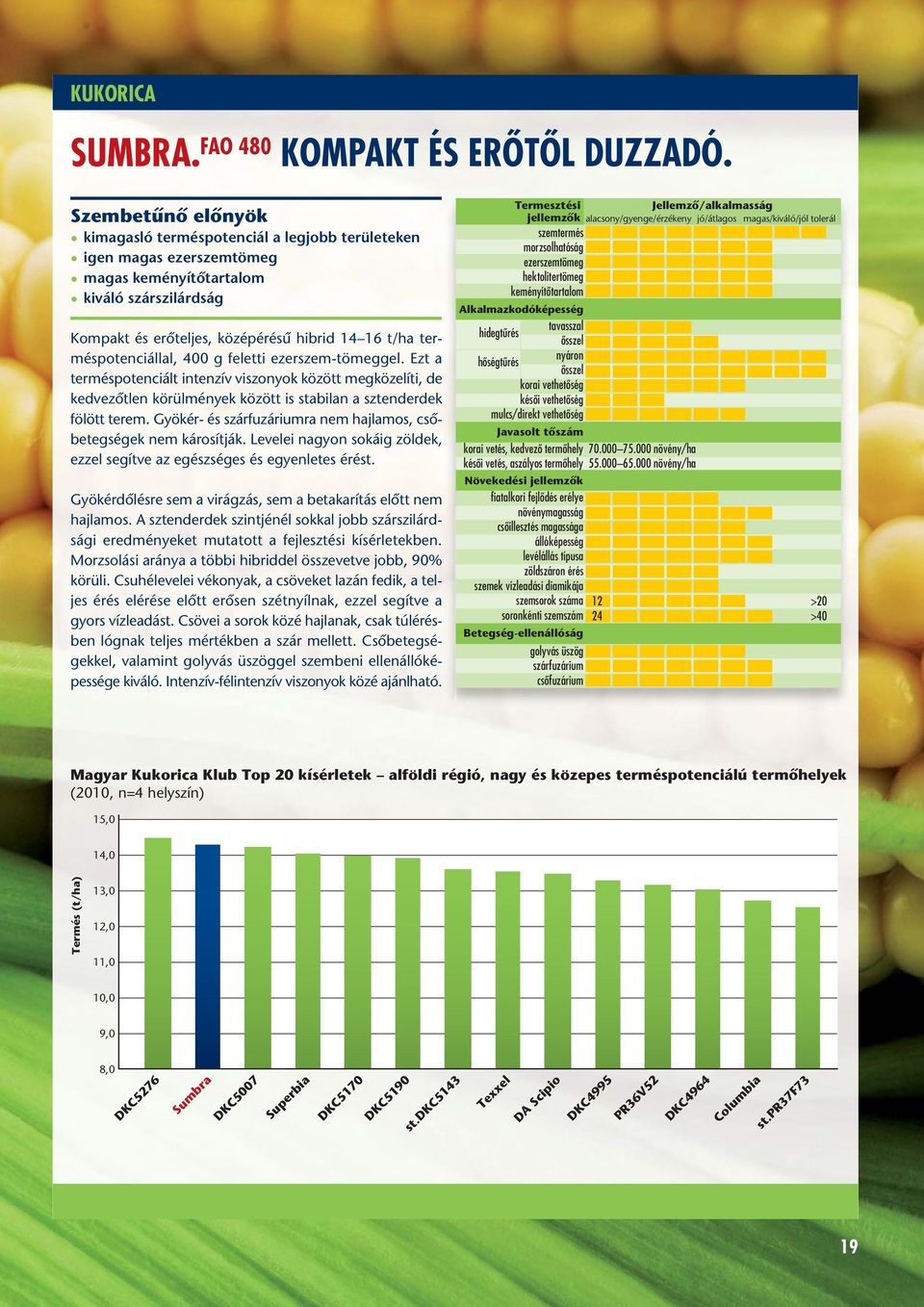 feletti ezerszem-tömeggel. Ezt a termés potenciált intenzív viszonyok között megközelíti, de kedvezôtlen körülmények között is stabilan a sztenderdek fölött terem.