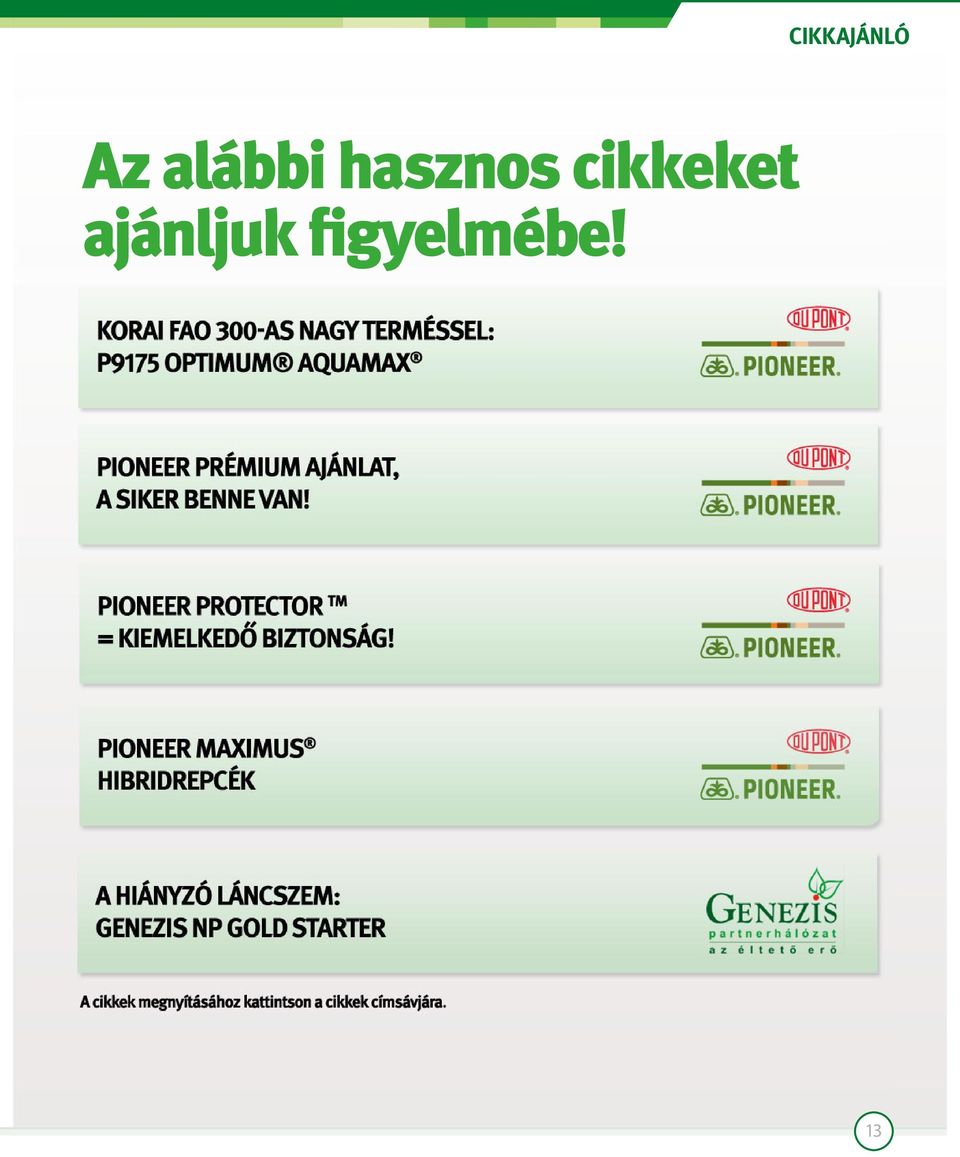 cikkeket