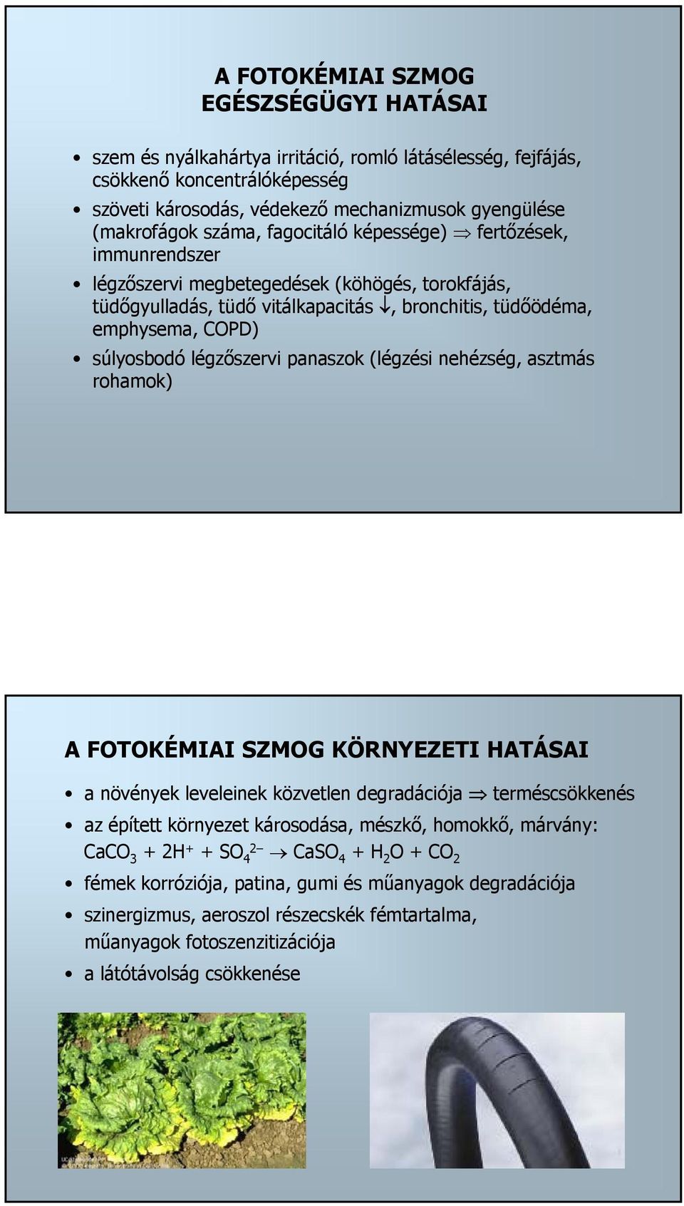 légzőszervi panaszok (légzési nehézség, asztmás rohamok) A FOTOKÉMA SZMOG KÖRNYEZET HATÁSA a növények leveleinek közvetlen degradációja terméscsökkenés az épített környezet károsodása, mészkő,