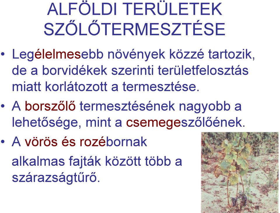 termesztése.