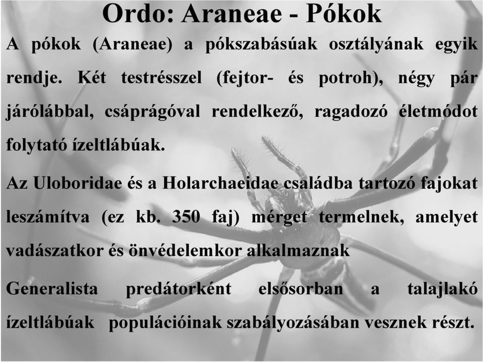 ízeltlábúak. Az Uloboridae és a Holarchaeidae családba tartozó fajokat leszámítva (ez kb.