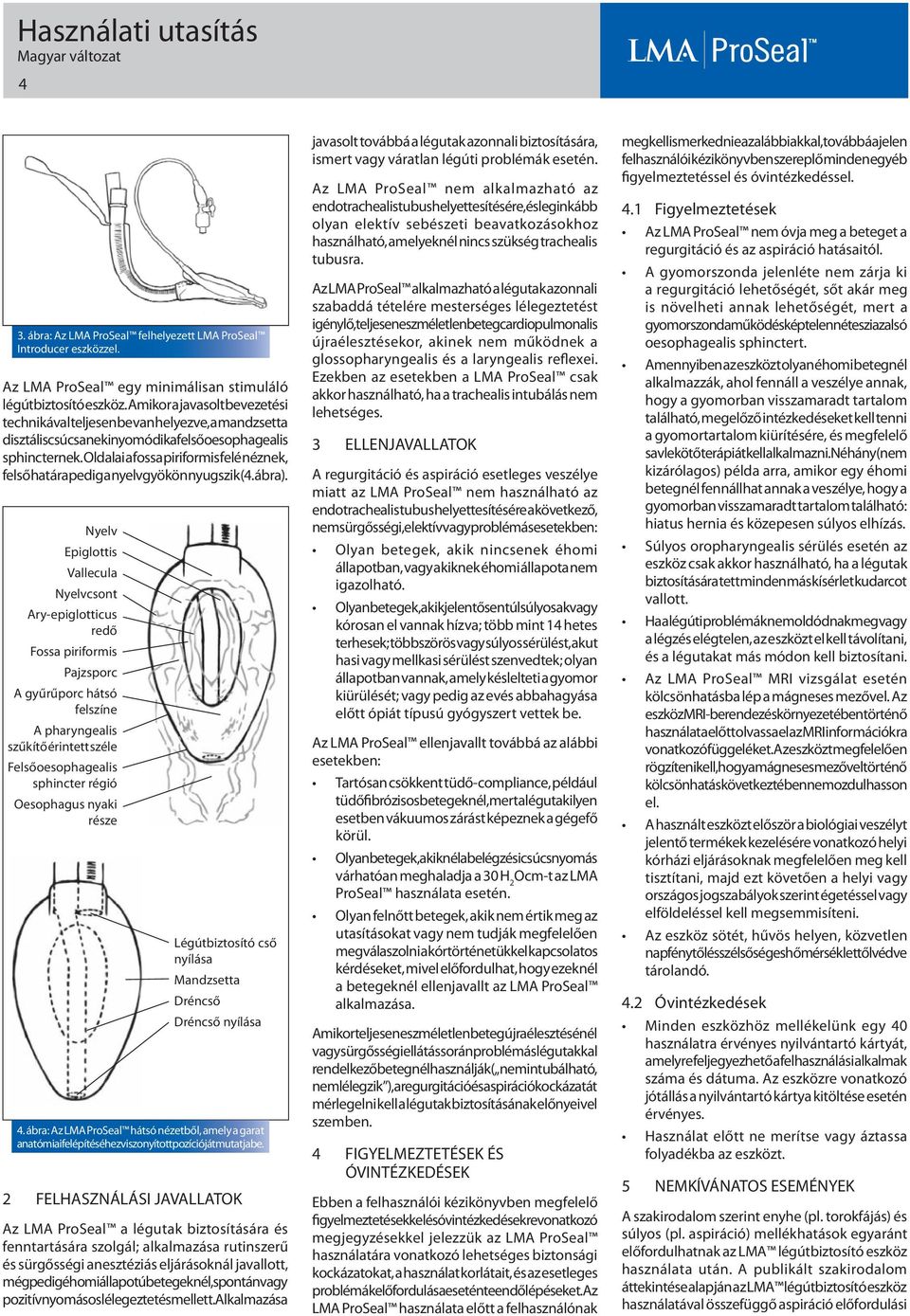 Oldalai a fossa piriformis felé néznek, felső határa pedig a nyelvgyökön nyugszik (4. ábra).