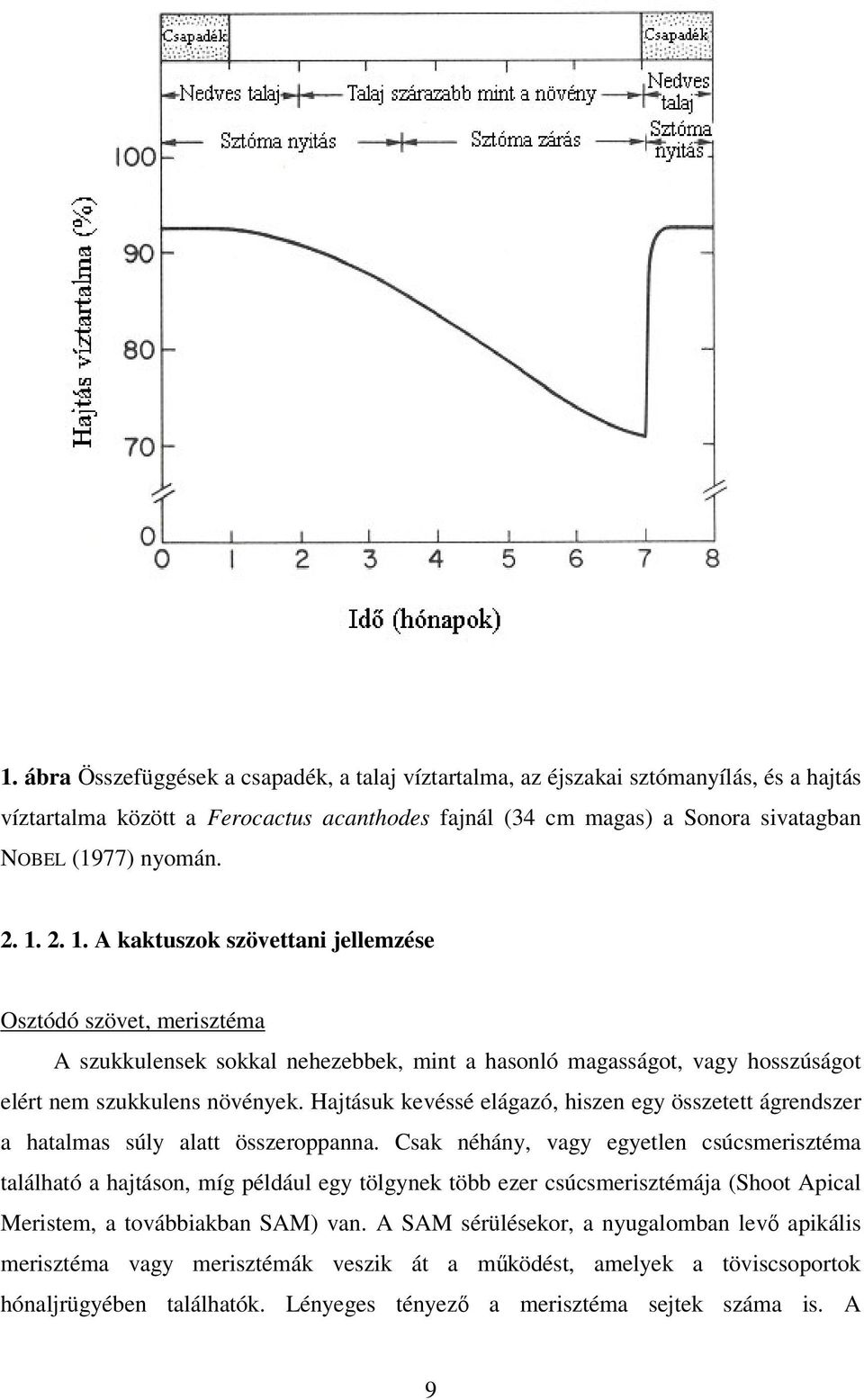 Hajtásuk kevéssé elágazó, hiszen egy összetett ágrendszer a hatalmas súly alatt összeroppanna.