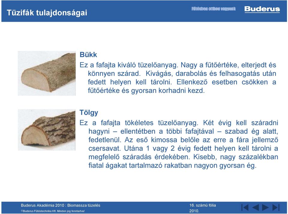 Tölgy Ez a fafajta tökéletes tüzelőanyag. Két évig kell száradni hagyni ellentétben a többi fafajtával szabad ég alatt, fedetlenül.