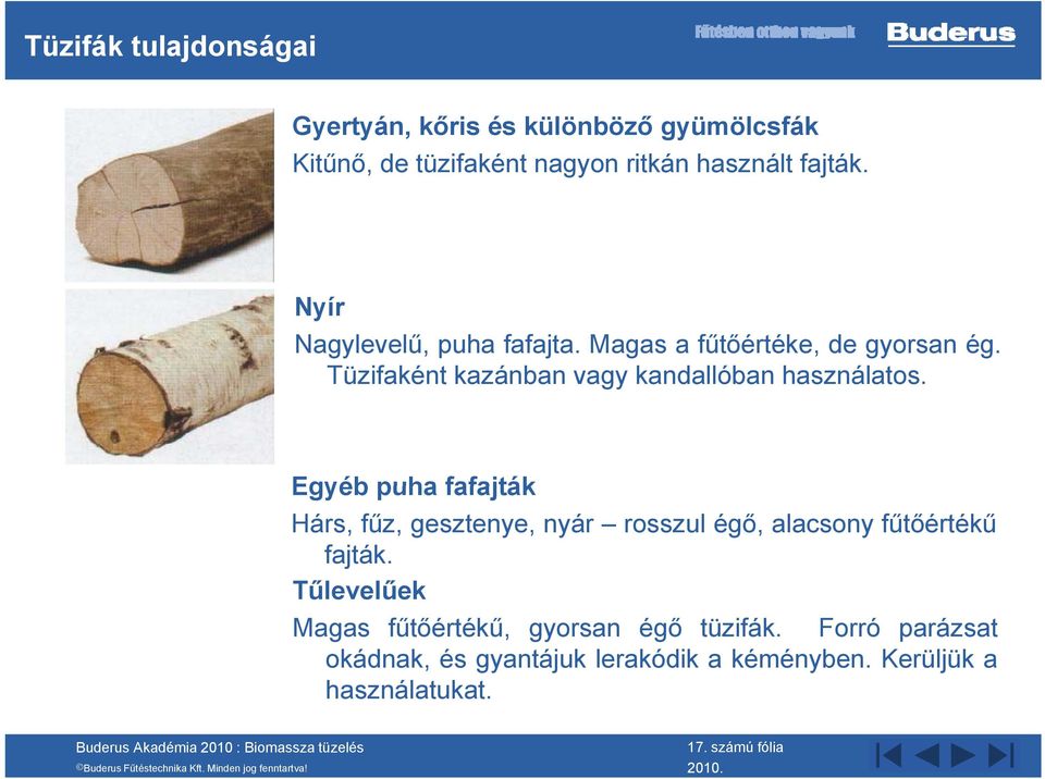 Egyéb puha fafajták Hárs, fűz, gesztenye, nyár rosszul égő, alacsony fűtőértékű fajták.