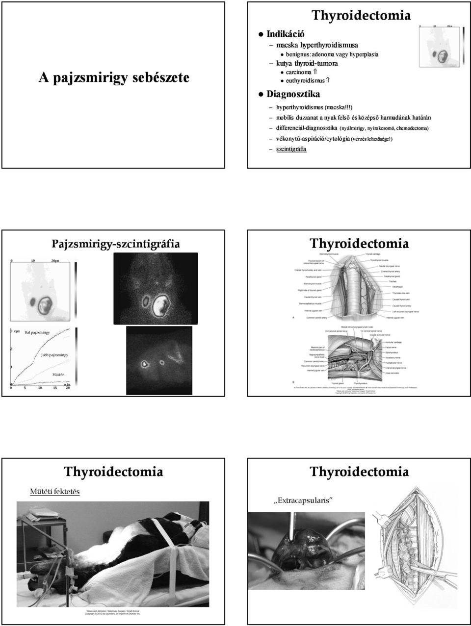 !!) mobilis duzzanat a nyak felső és középső harmadának határán differenciál-diagnosztika diagnosztika (nyálmirigy, nyirokcsomó,