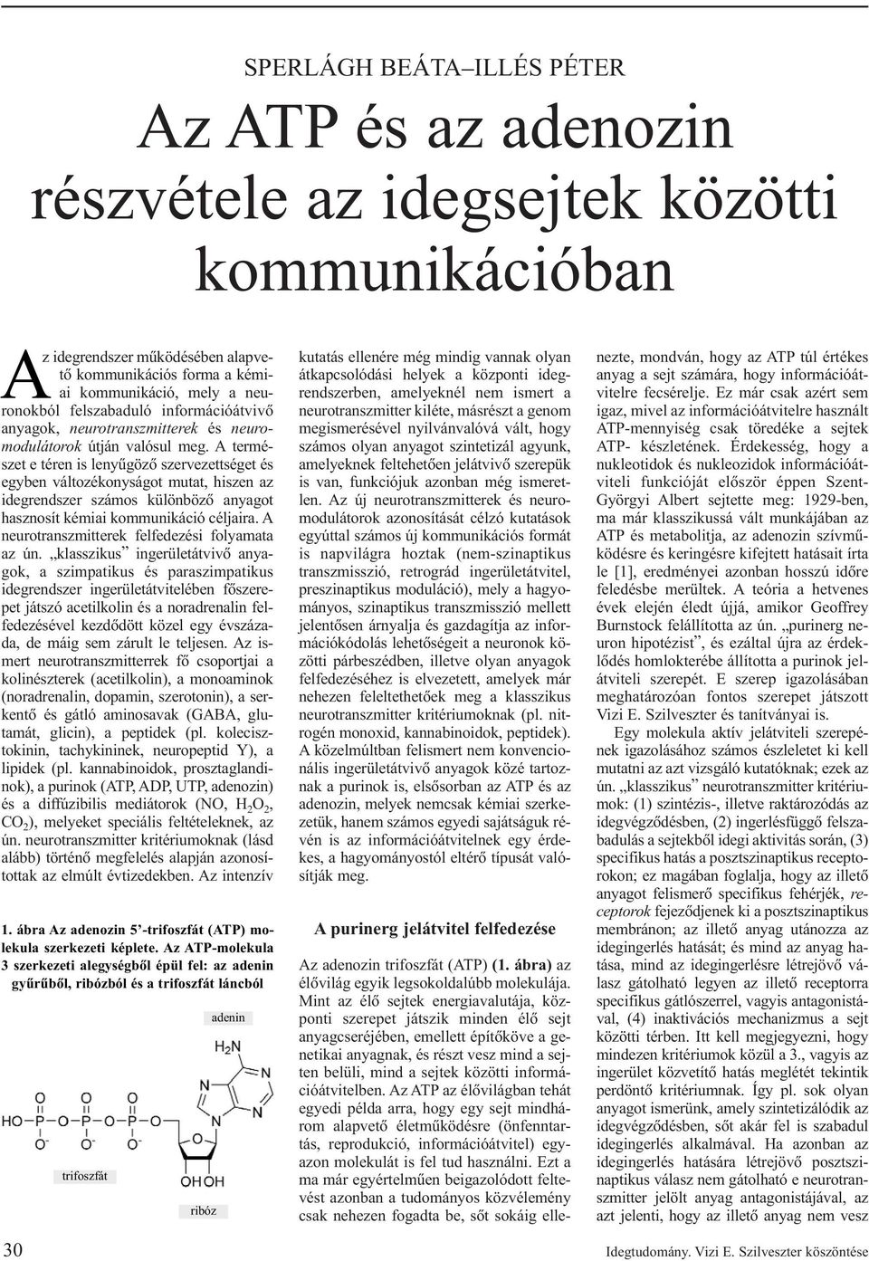 A természet e téren is lenyûgözõ szervezettséget és egyben változékonyságot mutat, hiszen az idegrendszer számos különbözõ anyagot hasznosít kémiai kommunikáció céljaira.