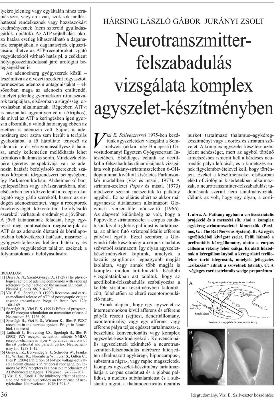 a csökkent hólyagösszehúzódással járó urológiai betegségekben is.
