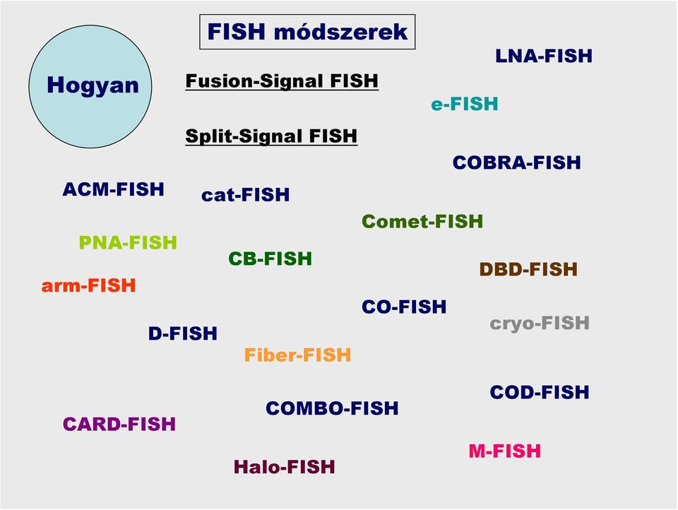 PNA-FISH arm-fish CB-FISH DBD-FISH CO-FISH D-FISH