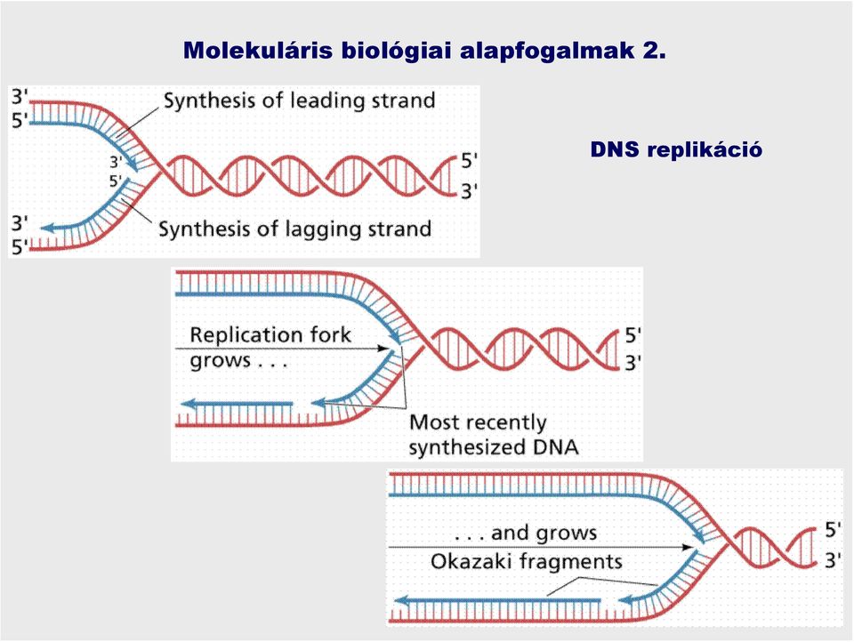 alapfogalmak