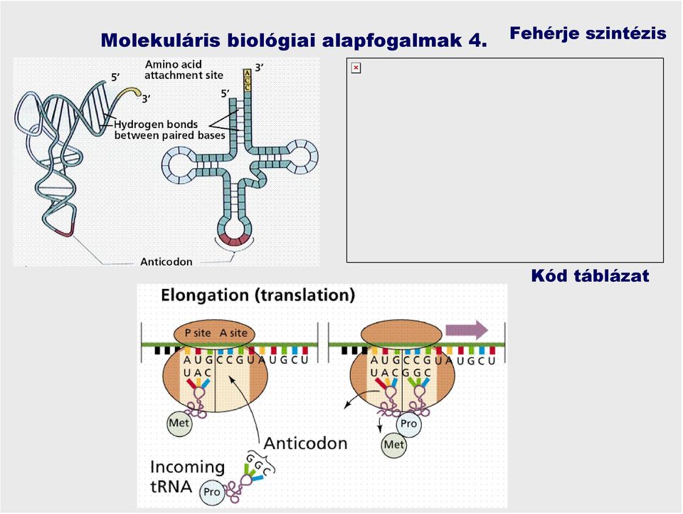 alapfogalmak 4.