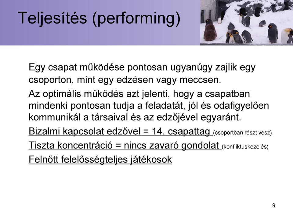 Az optimális működés azt jelenti, hogy a csapatban mindenki pontosan tudja a feladatát, jól és odafigyelően