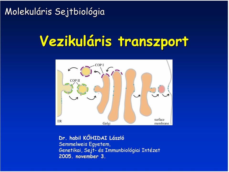 habil KŐHIDAI László Semmelweis