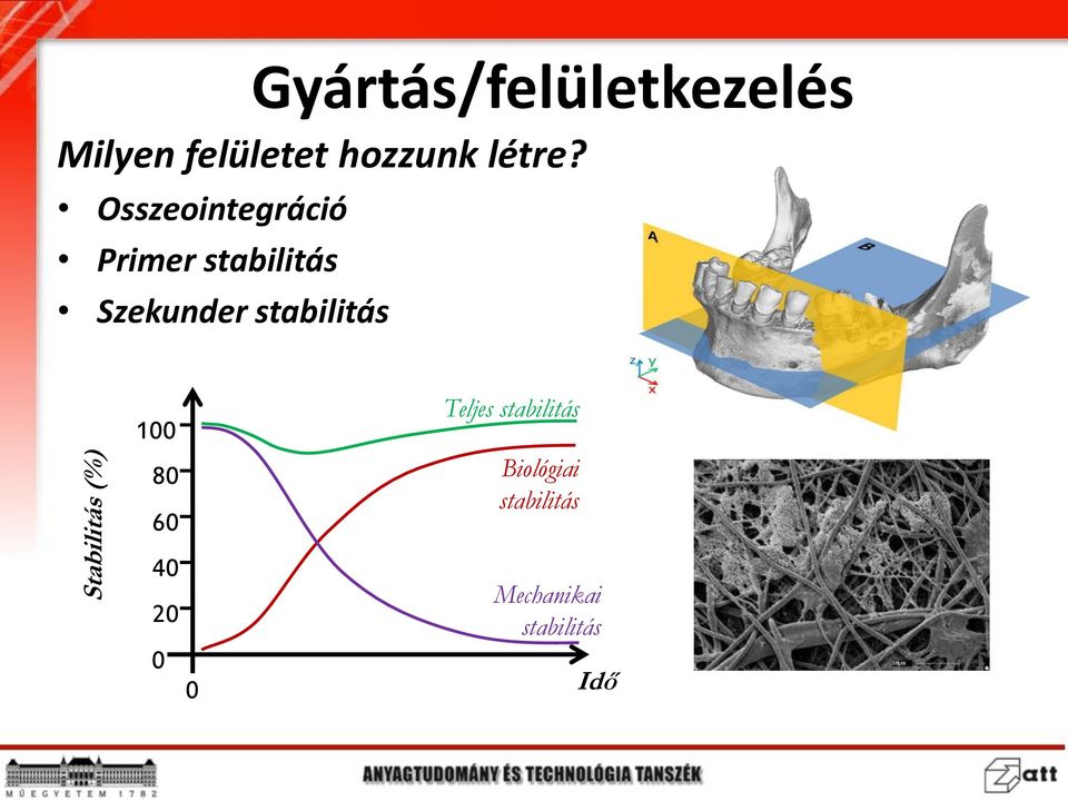 Osszeointegráció Primer stabilitás Szekunder