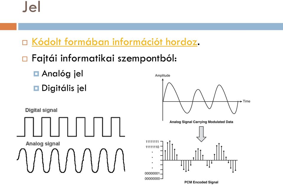 Fajtái informatikai