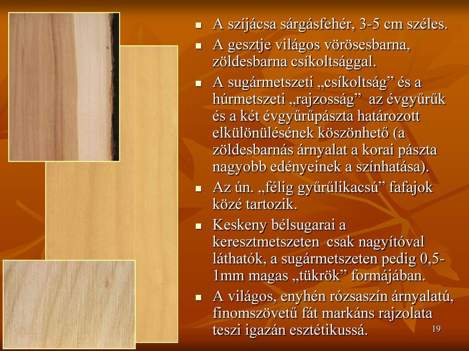 árnyalat a korai pászta nagyobb edényeinek a színhatása). Az ún. félig gyűrűlikacsú fafajok közé tartozik.