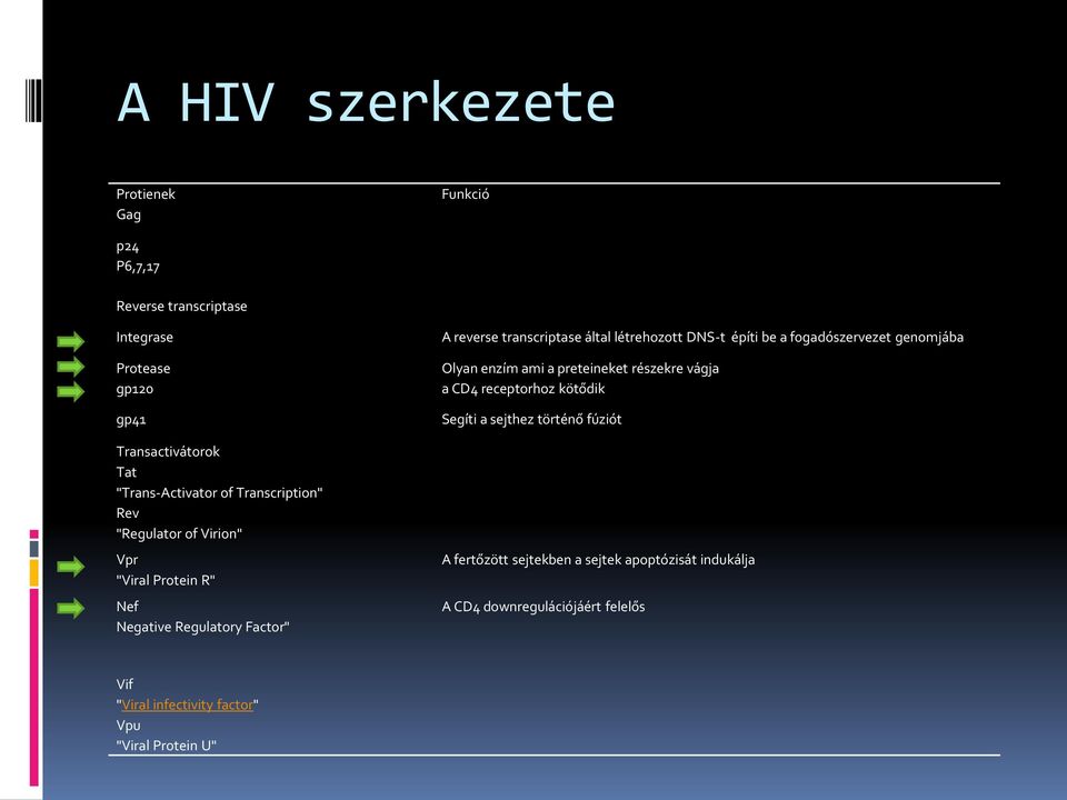DNS-t építi be a fogadószervezet genomjába Olyan enzím ami a preteineket részekre vágja a CD4 receptorhoz kötődik Segíti a sejthez történő