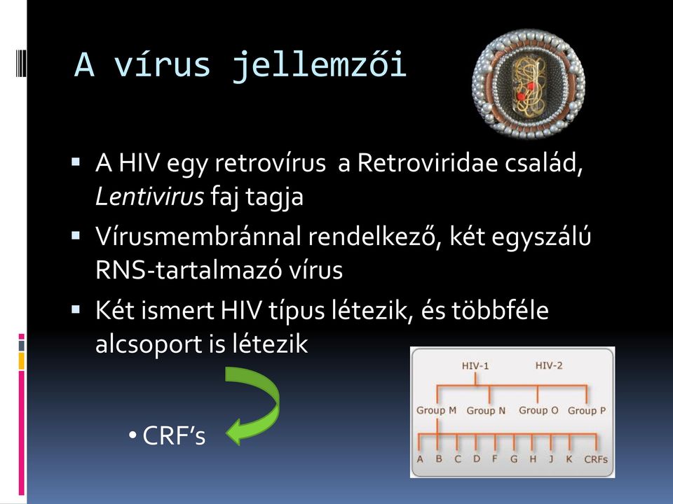 rendelkező, két egyszálú RNS-tartalmazó vírus Két