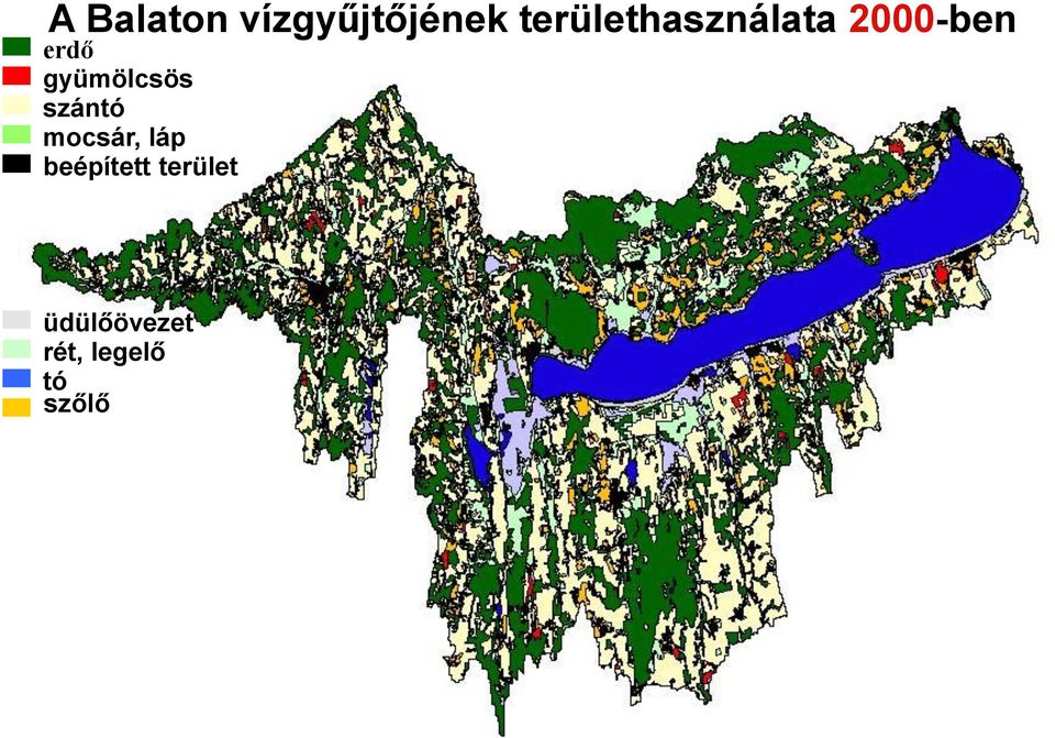 gyümölcsös szántó mocsár, láp