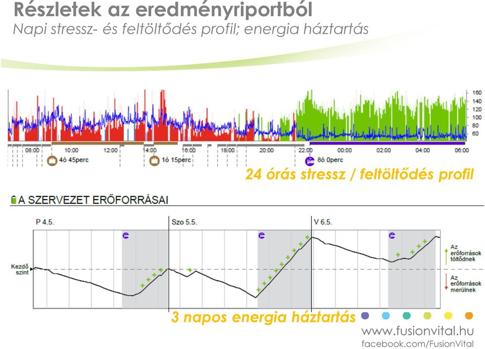 energia háztartás 24 órás stressz /