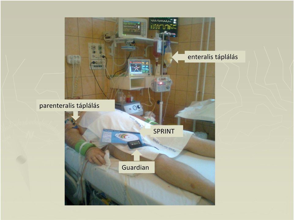 táplálás