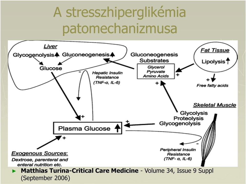 Turina-Critical Care Medicine