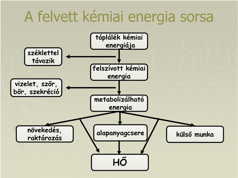 energiája felszívott kémiai energia metabolizálható