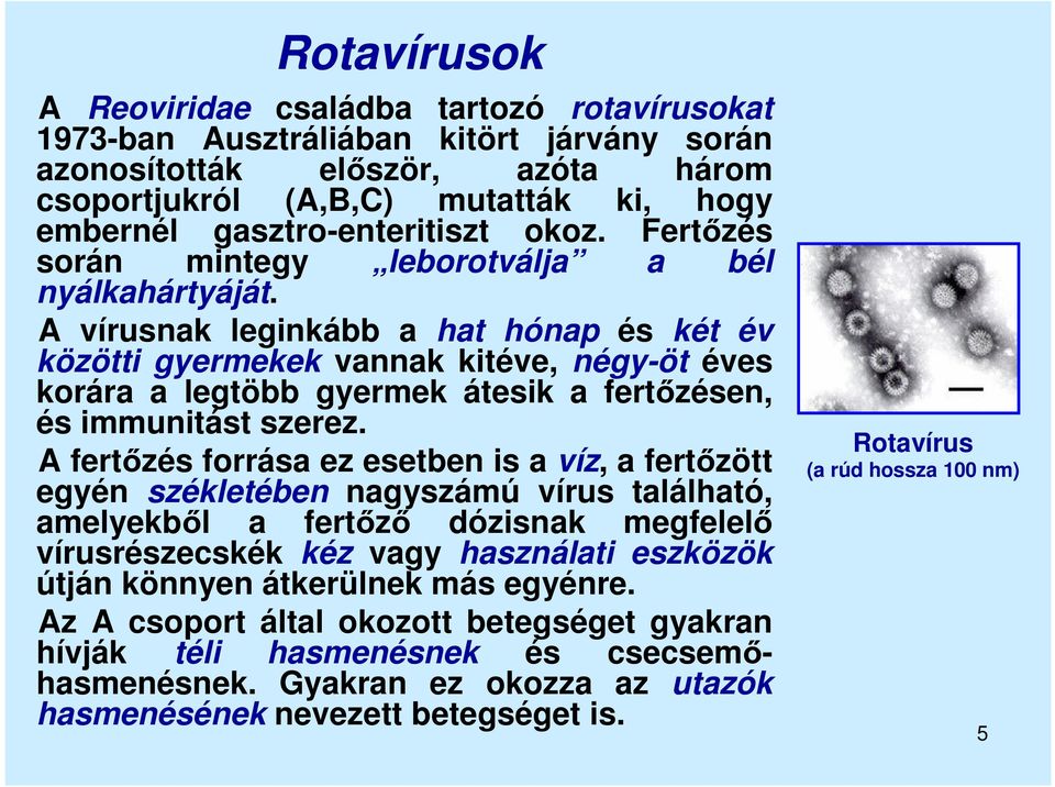 A vírusnak leginkább a hat hónap és két év közötti gyermekek vannak kitéve, négy-öt éves korára a legtöbb gyermek átesik a fertőzésen, és immunitást szerez.