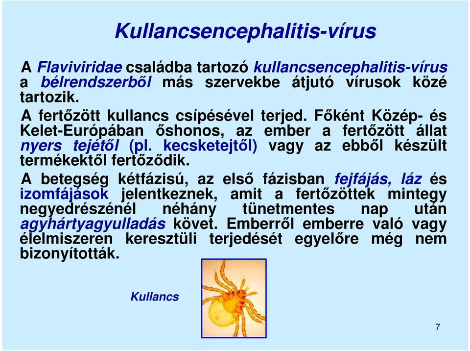 kecsketejtől) vagy az ebből készült termékektől fertőződik.