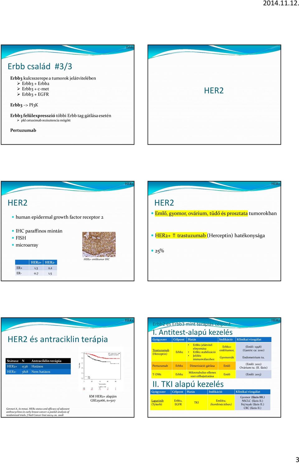 2,2 ER- 0,7 1,5 + emlőtumor IHC és antraciklin terápia Státusz N + 1536 Hatásos - Antraciklinterápia 3818 Nem hatásos GennariA, és mtsai.