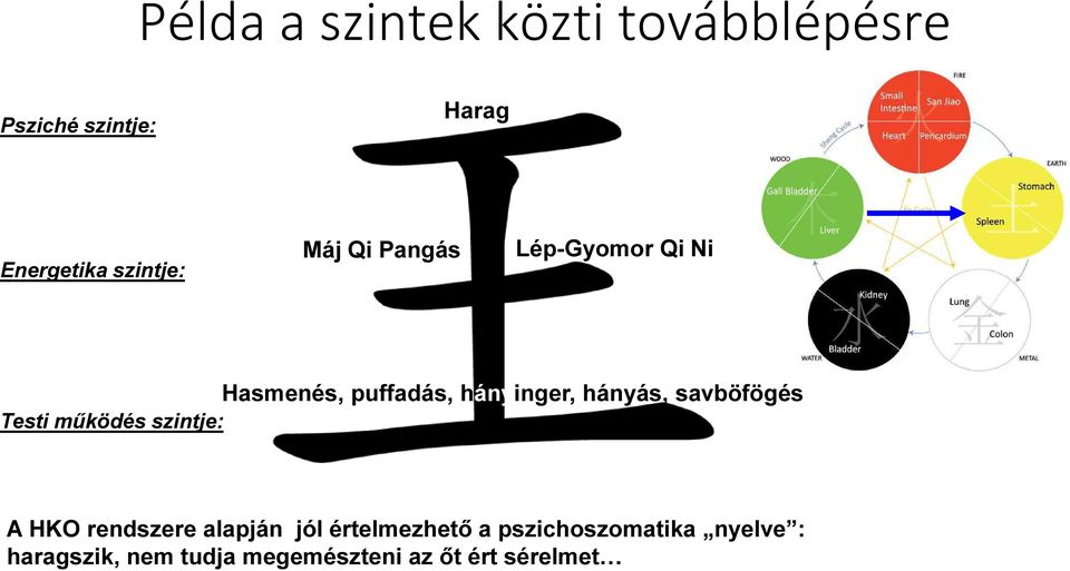 hányás, savböfögés Testi működés szintje: A HKO rendszere alapján jól