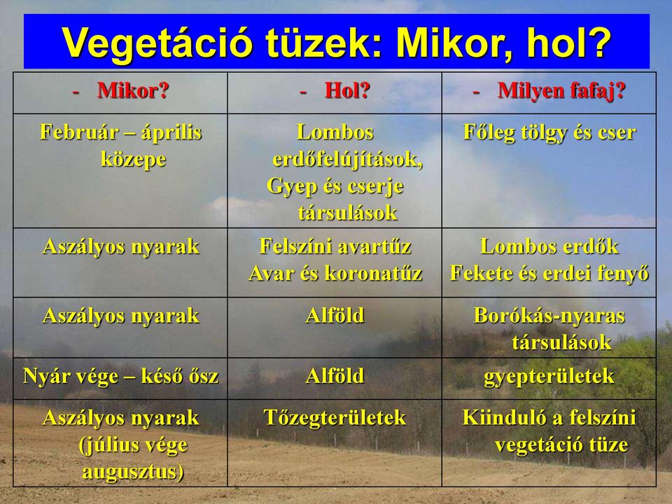 avartűz Avar és koronatűz Főleg tölgy és cser Lombos erdők Fekete és erdei fenyő Aszályos nyarak Alföld