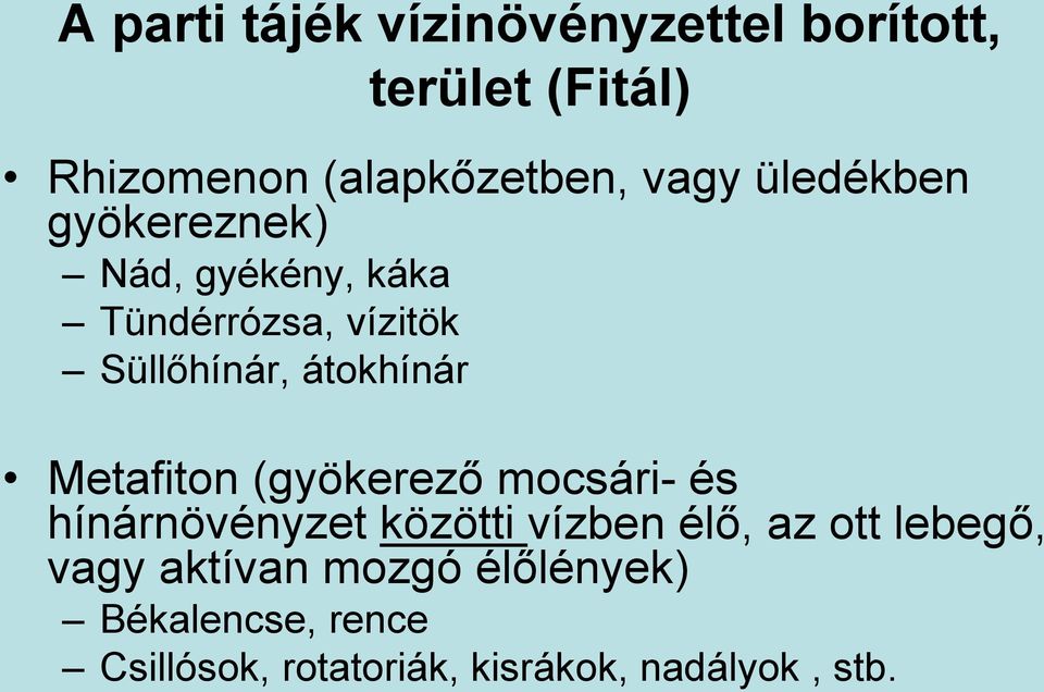 Metafiton (gyökerező mocsári- és hínárnövényzet közötti vízben élő, az ott lebegő, vagy