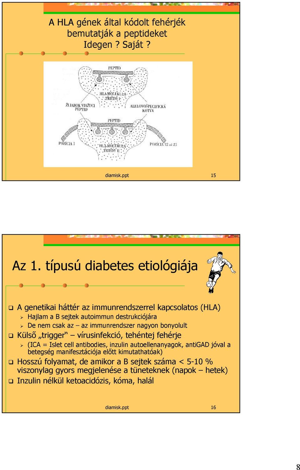 immunrendszer nagyon bonyolult Külső trigger vírusinfekció, tehéntej fehérje (ICA = Islet cell antibodies, inzulin autoellenanyagok, antigad jóval a