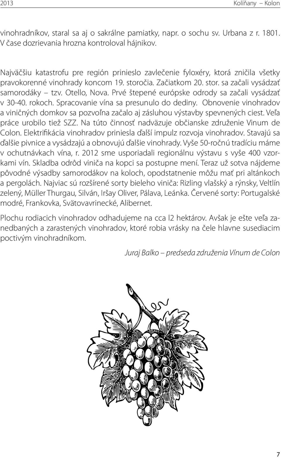 Prvé štepené európske odrody sa začali vysádzať v 30-40. rokoch. Spracovanie vína sa presunulo do dediny.