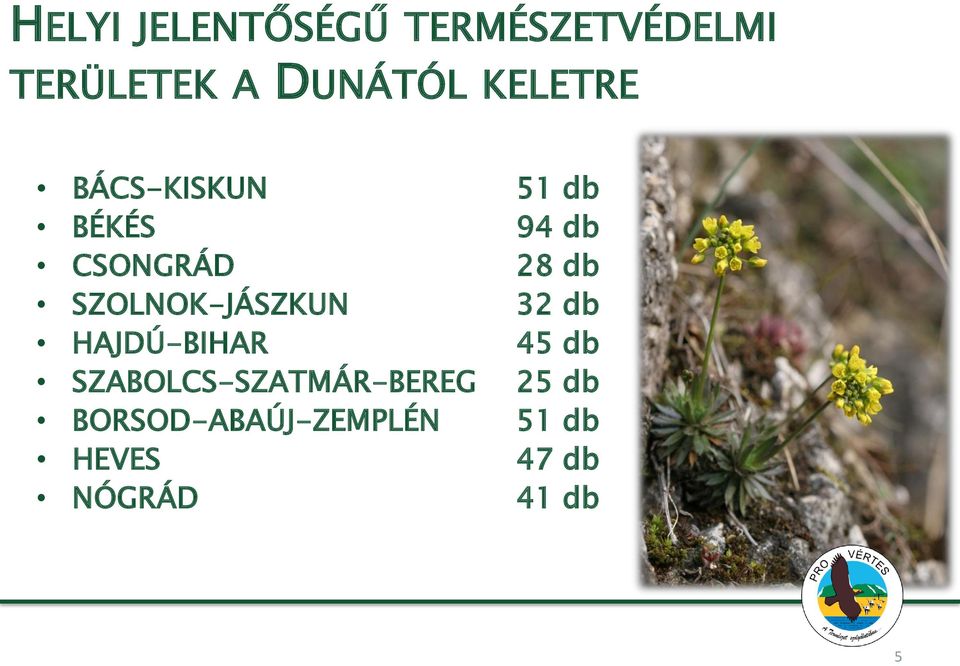 SZOLNOK-JÁSZKUN 32 db HAJDÚ-BIHAR 45 db