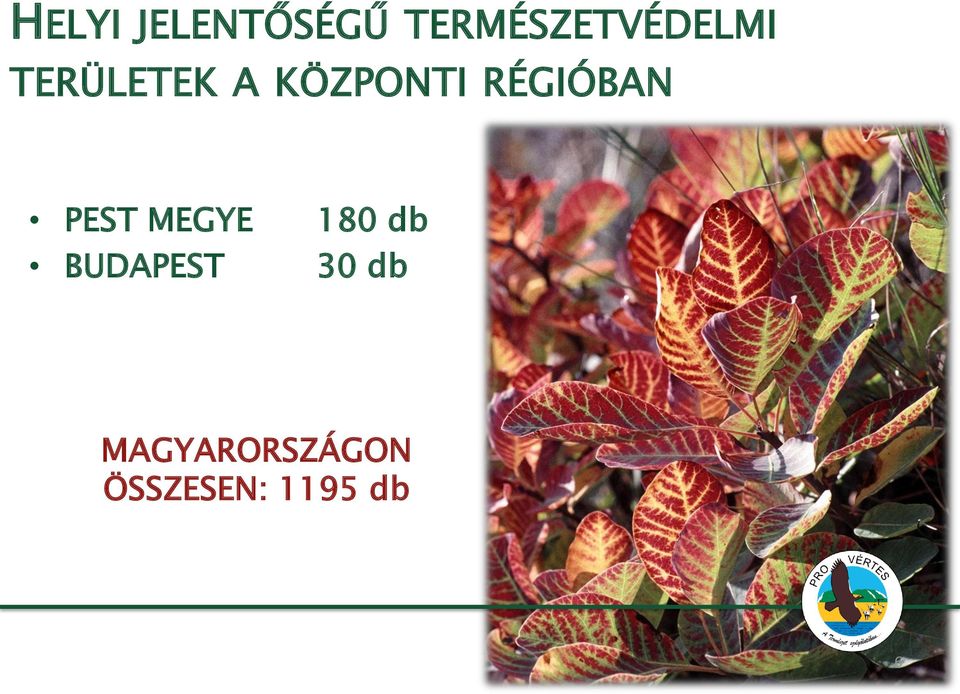 KÖZPONTI RÉGIÓBAN PEST MEGYE 180