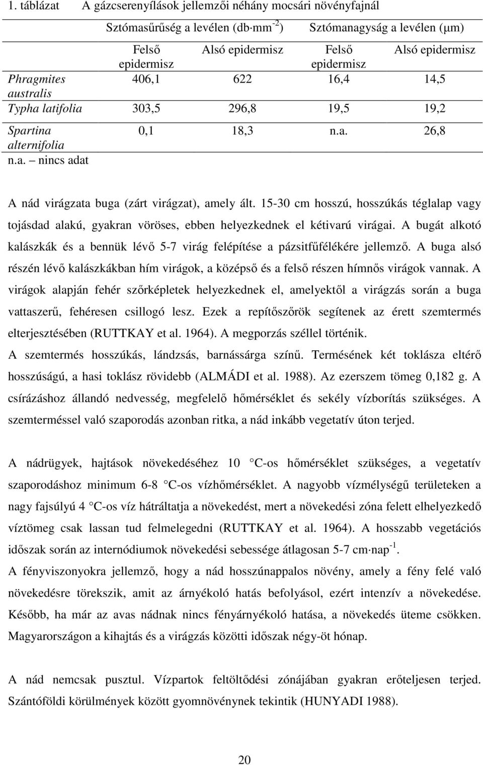 15-30 cm hosszú, hosszúkás téglalap vagy tojásdad alakú, gyakran vöröses, ebben helyezkednek el kétivarú virágai.