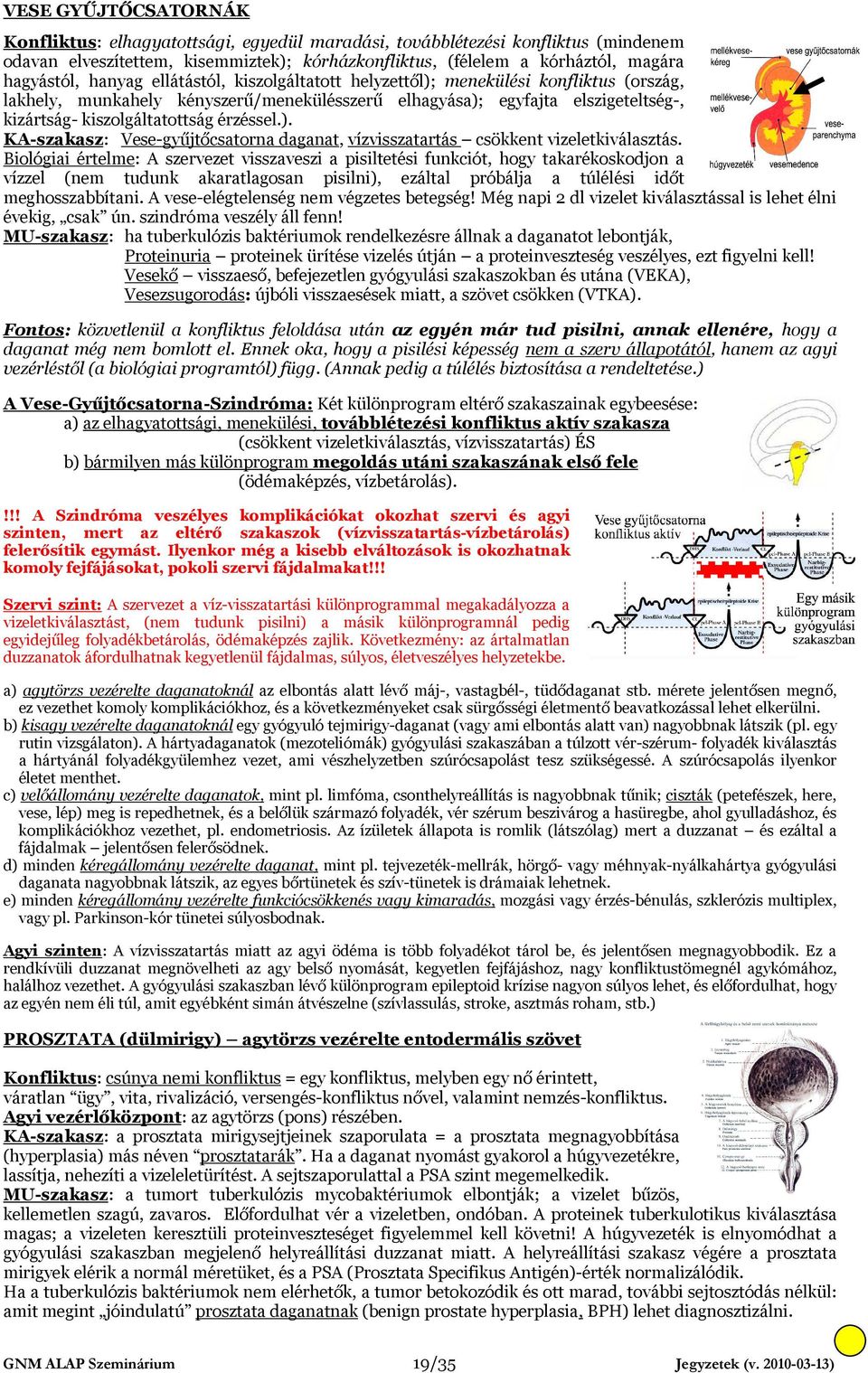 ). KA-szakasz: Vese-gyűjtőcsatorna daganat, vízvisszatartás csökkent vizeletkiválasztás.